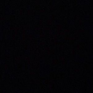 Meet your Posher, Shelly-ann